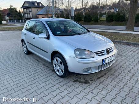 Volkswagen Golf 2004
