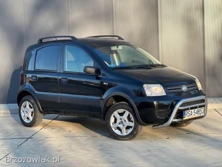 Fiat Panda 4x4 2007