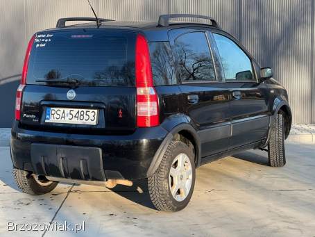 Fiat Panda 4x4 2007