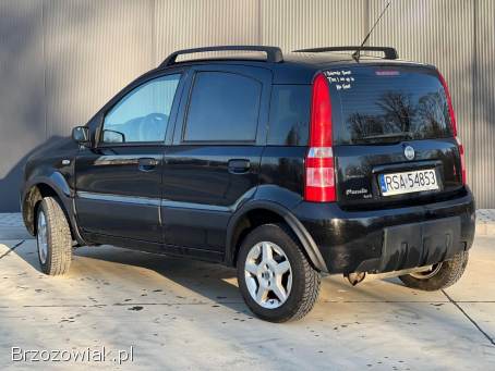 Fiat Panda 4x4 2007