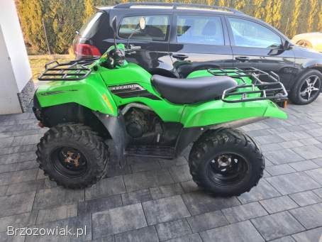 Kawasaki brute force 650/750 KVF