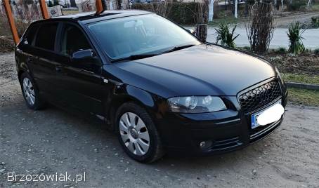 Audi A3 8P  2007