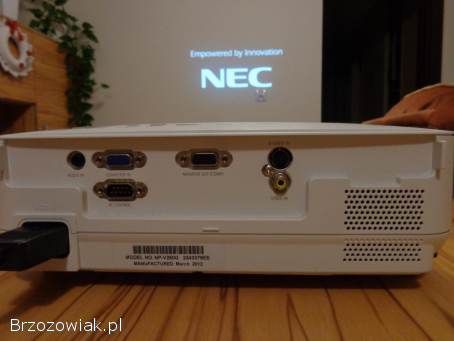 Projektor multimedialny NEC v260