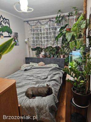 Sprzedam mieszkanie w centrum Sanoka