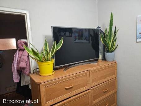 Sprzedam mieszkanie w centrum Sanoka