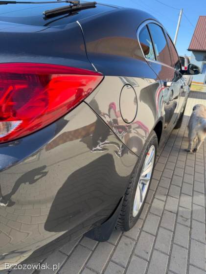 Opel Insignia Cosmo 2010