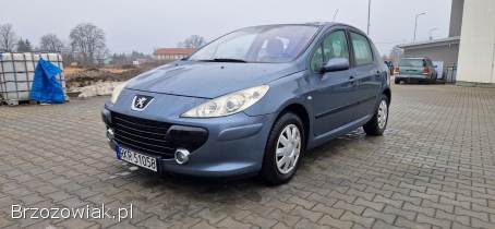 Peugeot 307 1.  6 HDI 2006