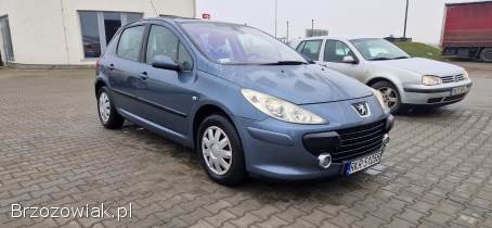 Peugeot 307 1.  6 HDI 2006