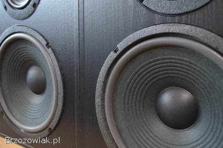 Porządne JBL TLX-50 Oryginalne i Zadbane Wysyłka