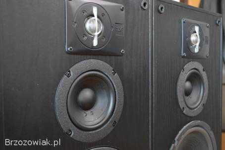 Porządne JBL TLX-50 Oryginalne i Zadbane Wysyłka