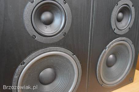Porządne JBL TLX-50 Oryginalne i Zadbane Wysyłka