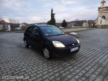 Ford Fiesta 1 2005