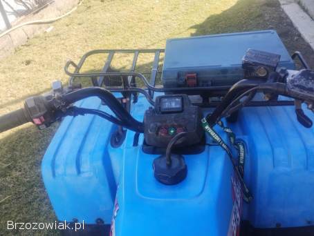 Yamaha Big Bear 350 4x4