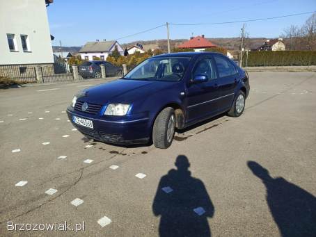 Volkswagen Bora 1 1999