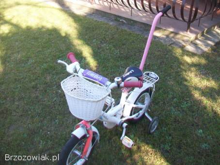 Rowerek dziecięcy na kołach 12