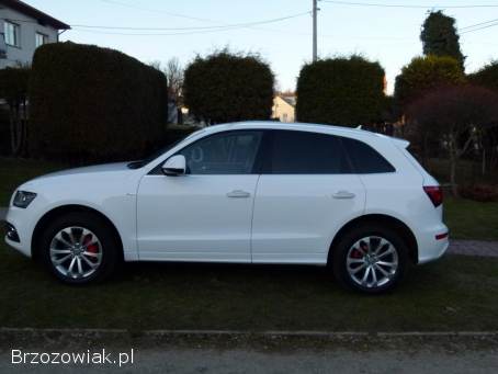 Audi Q5 8R 2016
