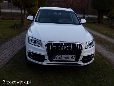 Audi Q5 8R 2016