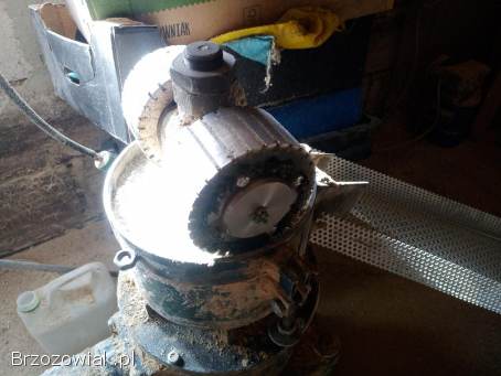 Peleciarka pellet linia do peletu