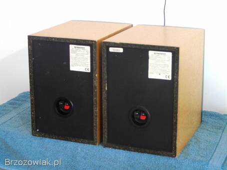 Kolumny Pioneer S-P460 Mega Bas sprawne.  DOSTAWA