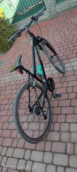 Rower KROSS evado 2.  0 17