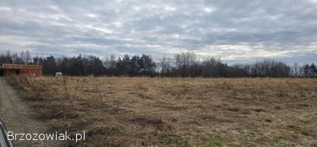Działka Załuż 12 ar