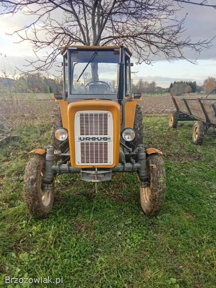 Sprzedam ciągnik Ursus C 355 rok1972