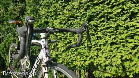Karbonowy Rower Szosowy Focus Izalco 54