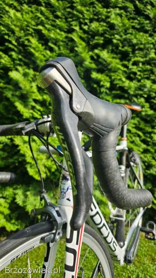 Karbonowy Rower Szosowy Focus Izalco 54