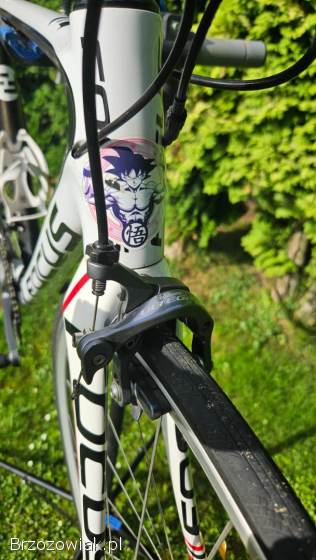 Karbonowy Rower Szosowy Focus Izalco 54