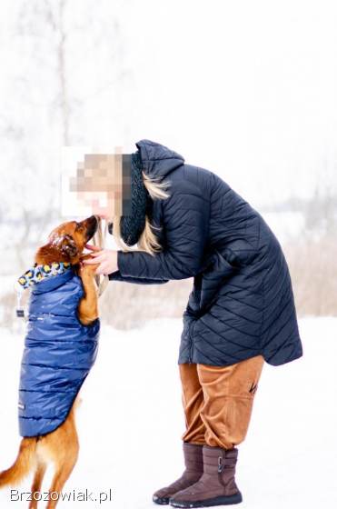 Korek -  prawdziwy pies na medal!