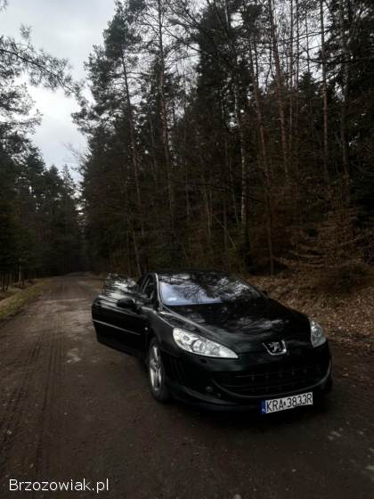 Peugeot 407 Coupe 2006