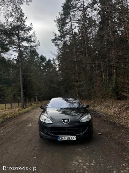 Peugeot 407 Coupe 2006