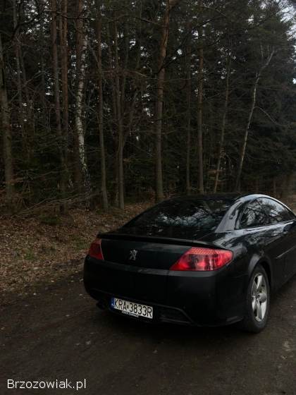 Peugeot 407 Coupe 2006
