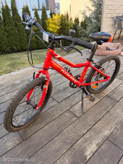 Rower mini KROSS 20”