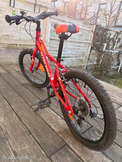 Rower mini KROSS 20”