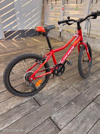 Rower mini KROSS 20”