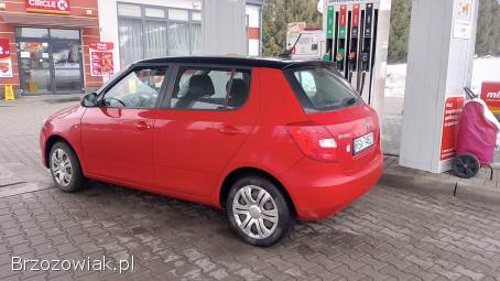 Škoda Fabia Amundsen 2013