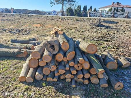 Opał,  metry brzoza.