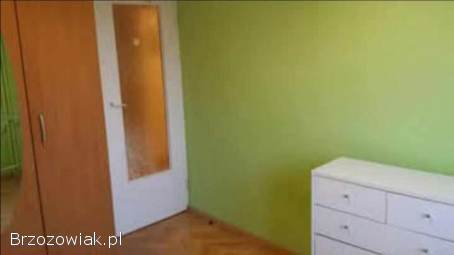 Do wynajęcia mieszkanie 39m² Krosno