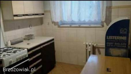 Do wynajęcia mieszkanie 39m² Krosno