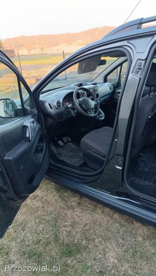 Citroën Berlingo II (2008-2018) 2017