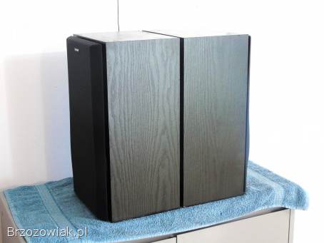 Kolumny Sony SS-A509 mocne 2 x 100 wat.  DOSTAWA