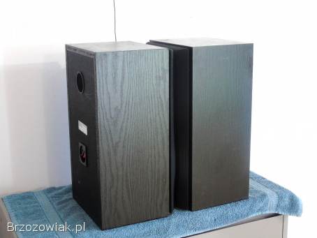 Kolumny Sony SS-A509 mocne 2 x 100 wat.  DOSTAWA