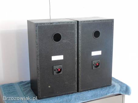 Kolumny Sony SS-A509 mocne 2 x 100 wat.  DOSTAWA