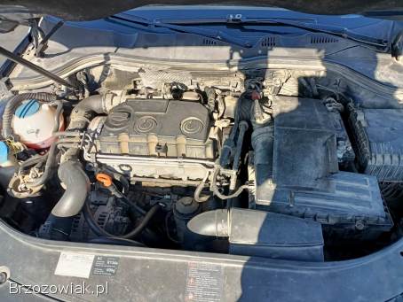 Volkswagen Passat 1.  9TDI 105km 08r 2008