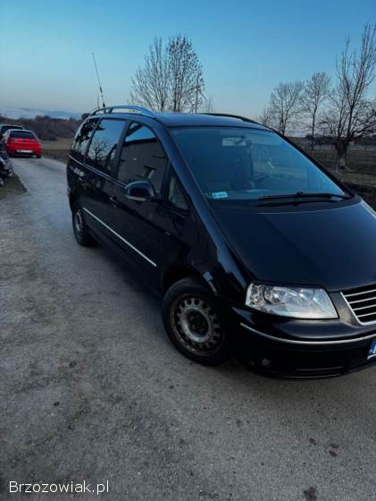 Volkswagen Sharan Spacja  2005
