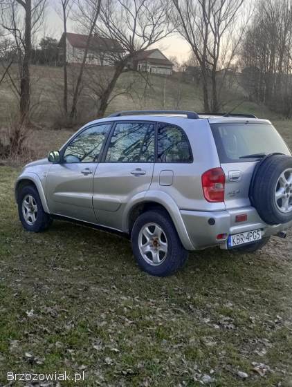 Toyota RAV4 5 drzwiowa 2002