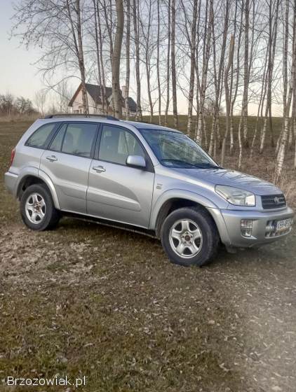 Toyota RAV4 5 drzwiowa 2002