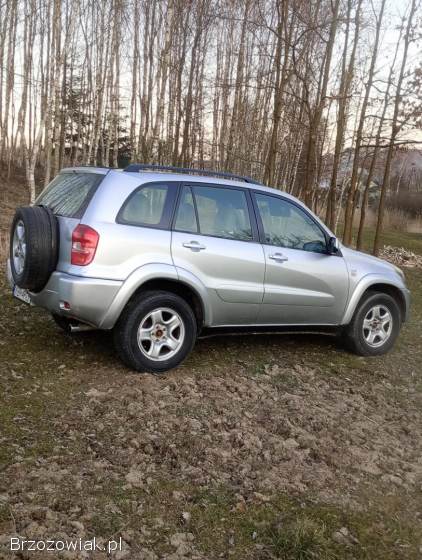 Toyota RAV4 5 drzwiowa 2002