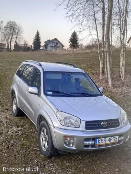 Toyota RAV4 5 drzwiowa 2002
